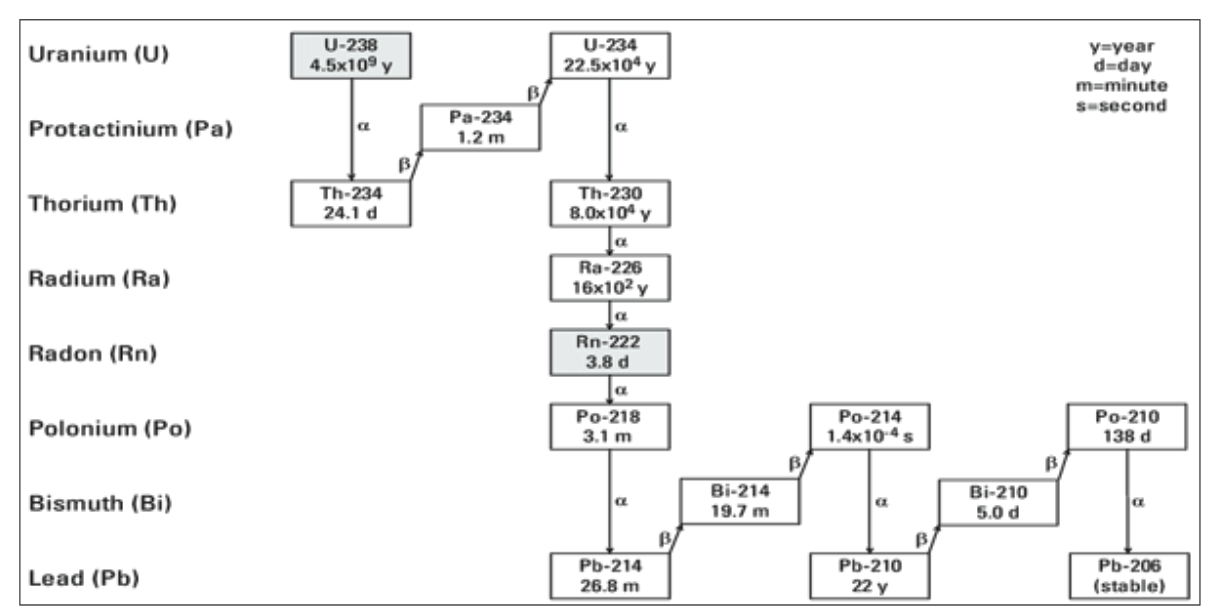 Figure 1 .  Uranium-238 radionuclide decay chain [21,22].