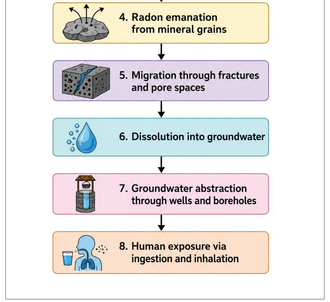 Figure 3 . The conceptual process governing groundwater radon occurrence.